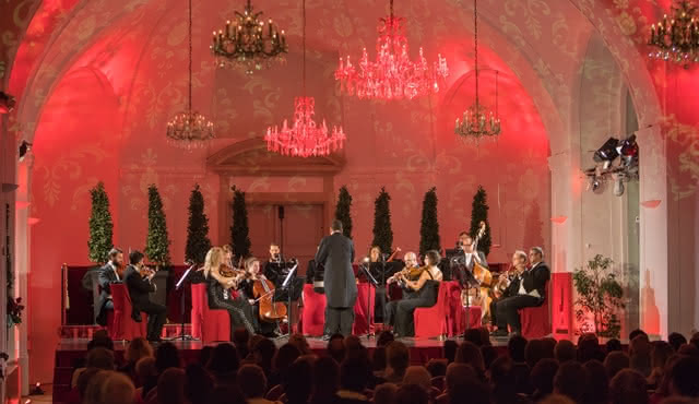 Знакомство с дворцом Шёнбрунн: Экскурсия с гидом и концерт