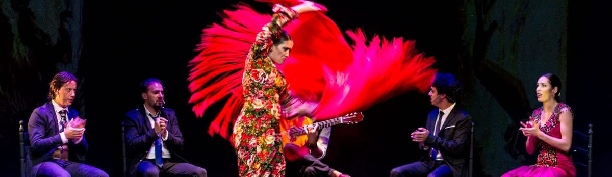 Emotions: Pure Flamenco in the Heart of Madrid, 2024-07-06, Гамбург
