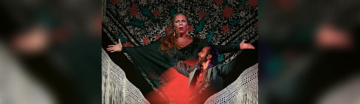 Flamenco Show at Tablao Flamenco Alegria, 2024-07-07, Гамбург